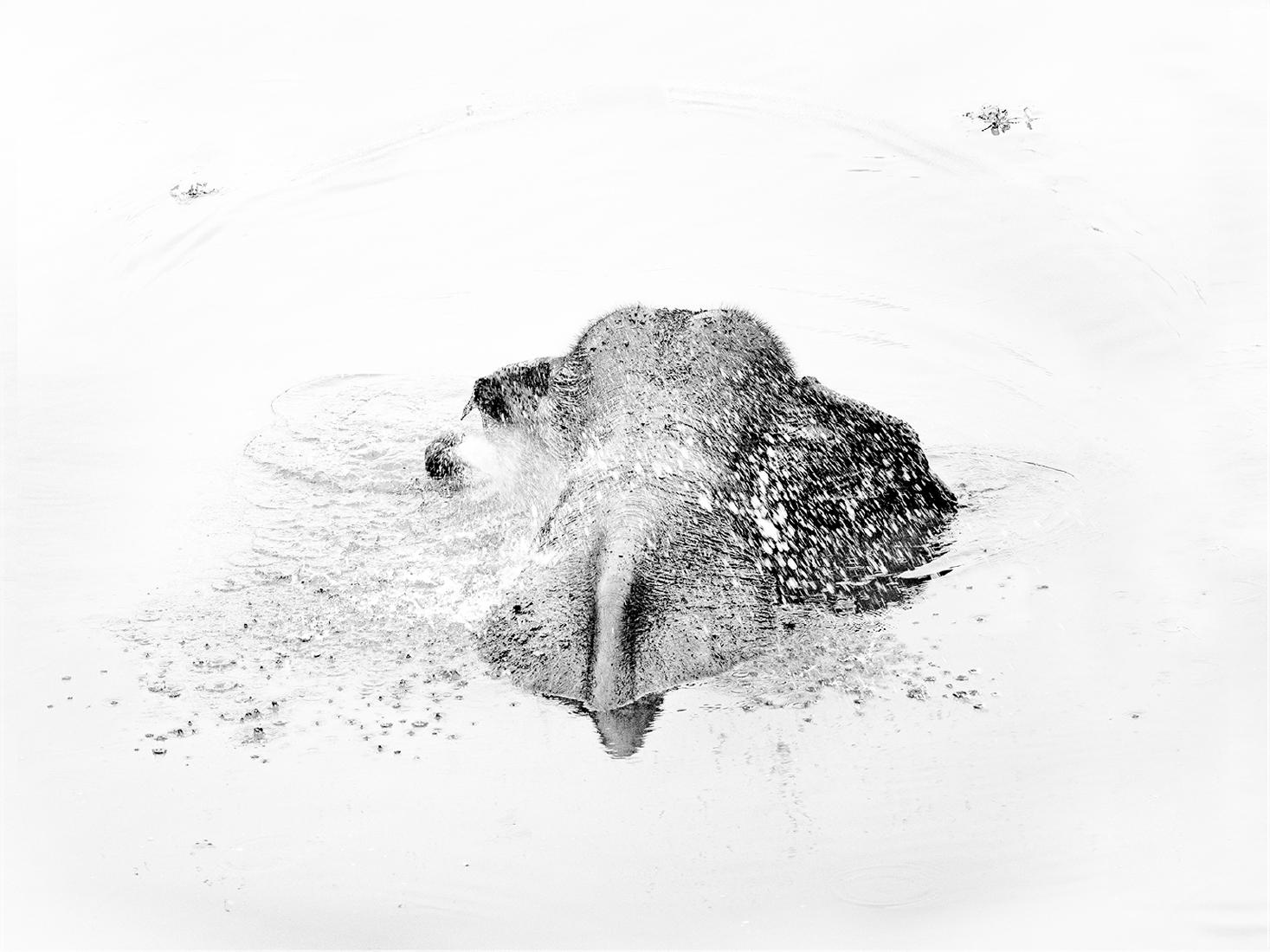 Bath Time 1 (1) - Kate Jackson