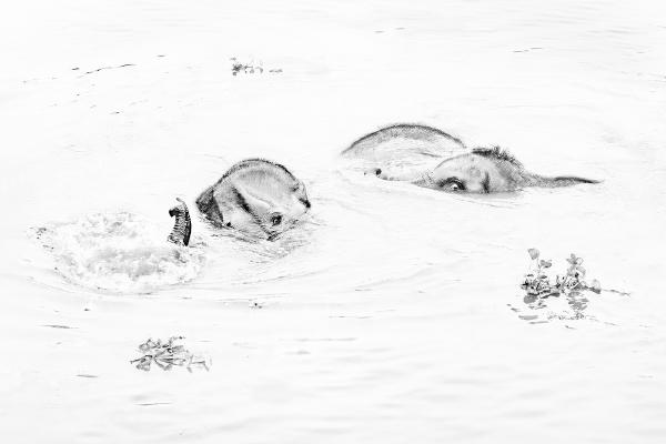 Bath Time 1 (2) - Kate Jackson