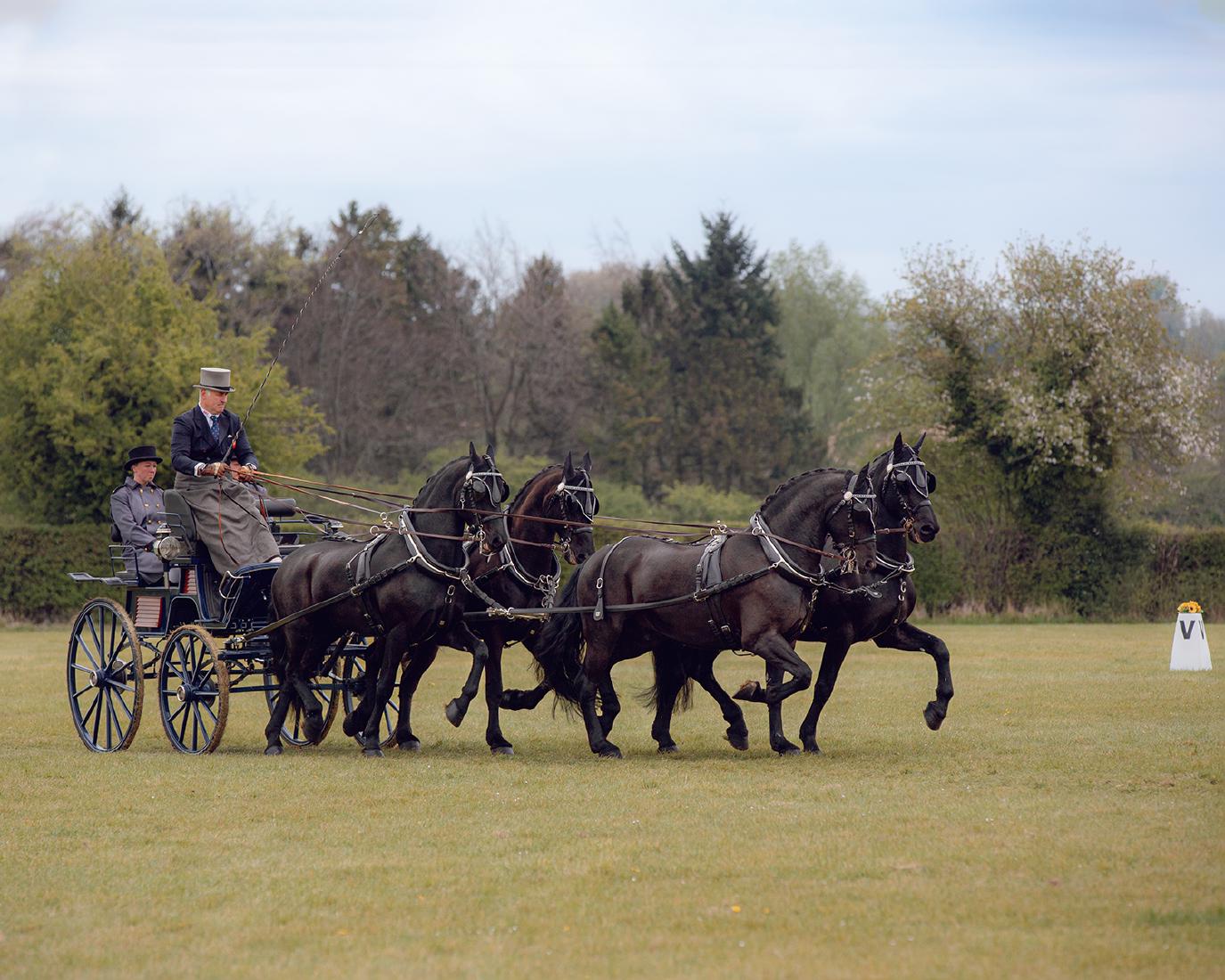 Carriage Driving 3 Day Event (1) - Chris Pugh
