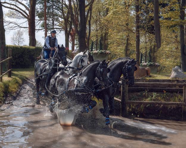 Carriage Driving 3 Day Event (2) - Chris Pugh