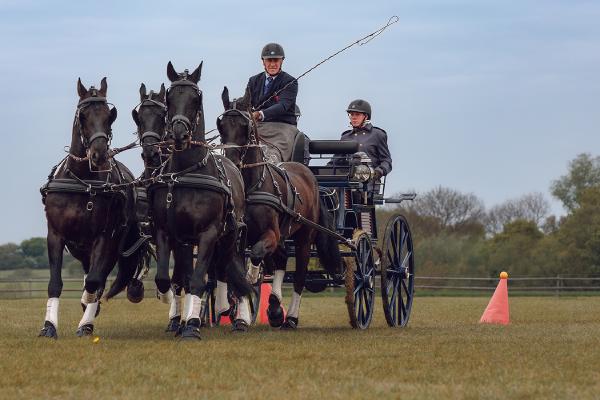 Carriage Driving 3 Day Event (3) - Chris Pugh