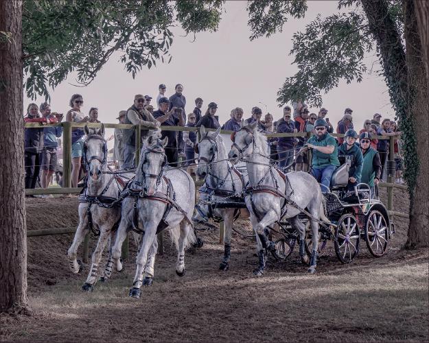 Four in Hand draws the crowd - Chris Pugh