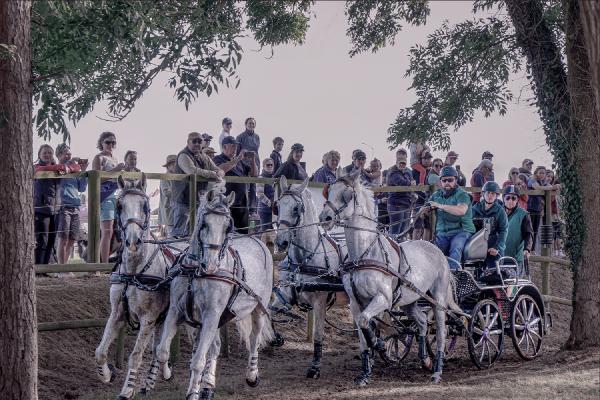 Four in Hand draws the crowd - Chris Pugh