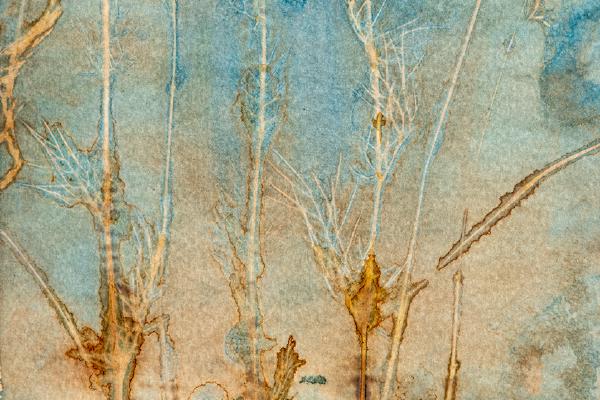 Cyanotype chinoiserie - Katherine Bailey