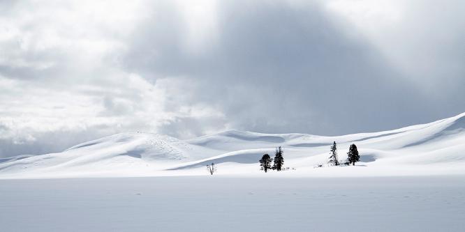 Into the Hayden Valley - Lynn Rix