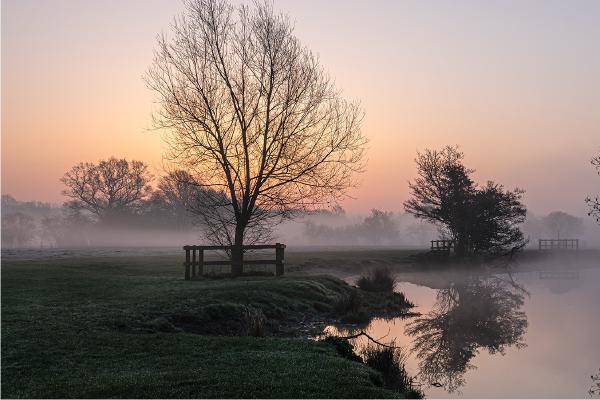 Morning Sunrise - Jennifer Brett