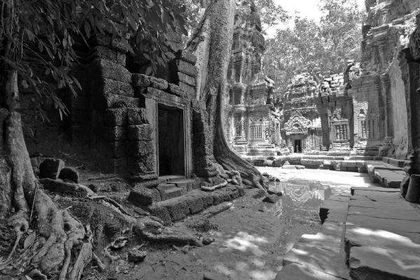 Angkor Wat - Francis Winton