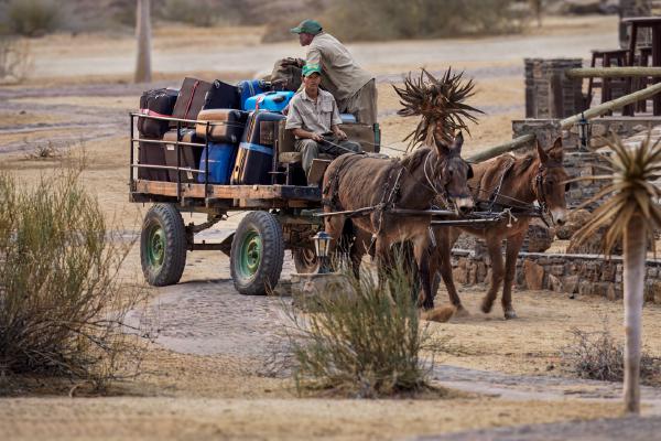 Namibian Luggage Porters - David Cross