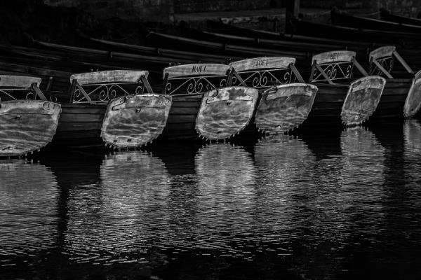 Rowing boats Dedham - Peter Freeman