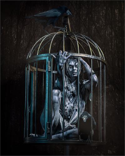 The Birdcage - Chris Pugh