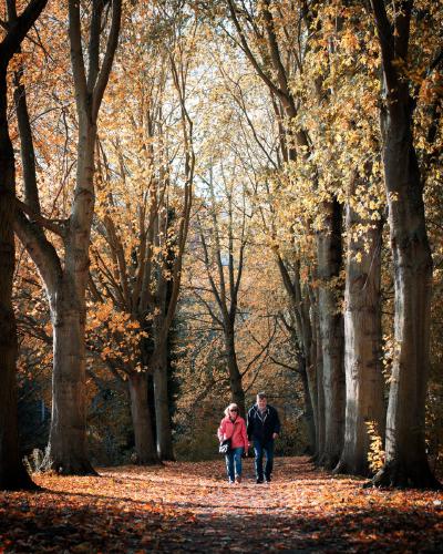 Autumn colours - Vishnu Kaparthi