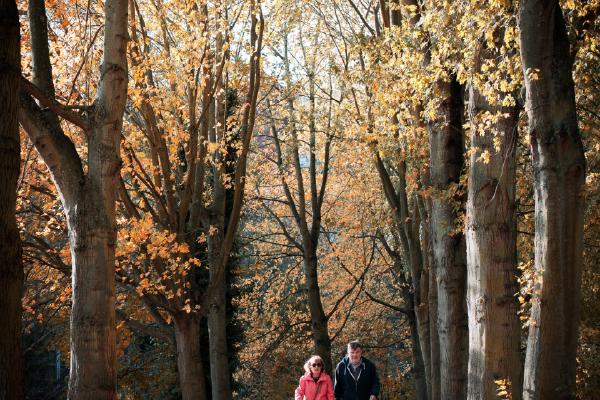 Autumn colours - Vishnu Kaparthi