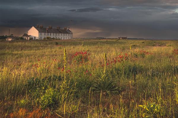 Coastguard cottages of Shingle Street - Shaun Hykel