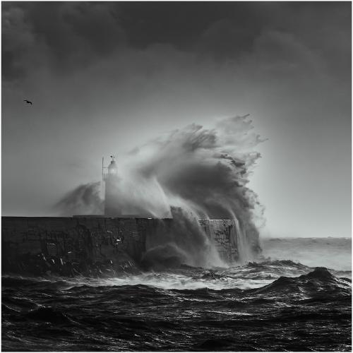 Gale Force 10 - Mark Kench