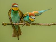 Robert Macdonald - Love you!