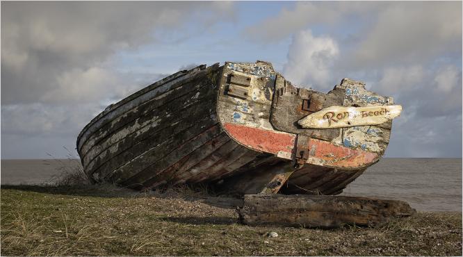 Ron's Beach - Elisa Harvey