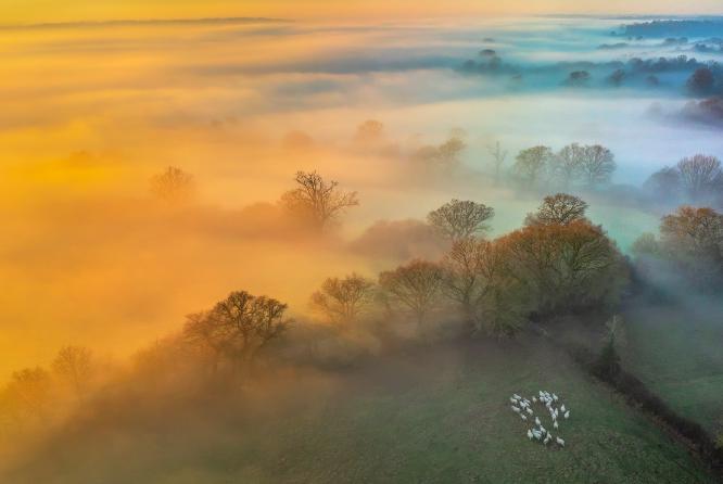 On the edge of the mist - Andrew Bailey