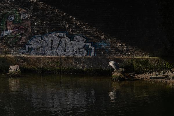 Urban Fisher - Ken Wallace