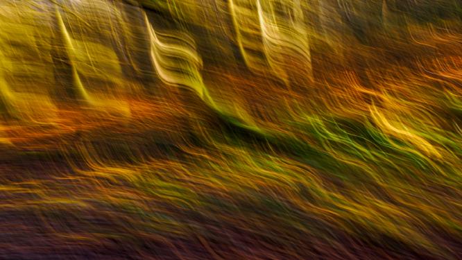 Autumn Waves - David Cross