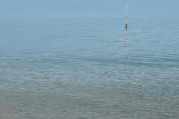 Beach walk - Shaun Hykel