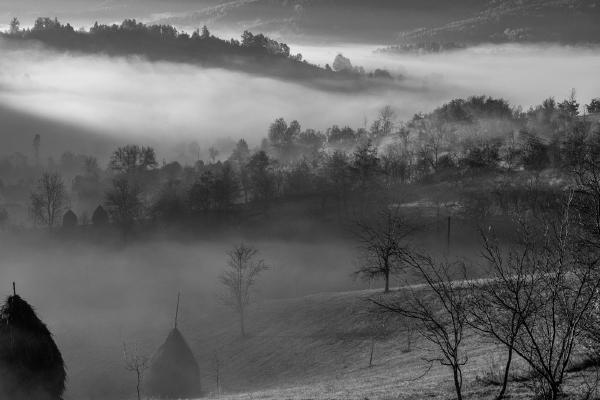 Haystacks in the Mist - Martin Gould