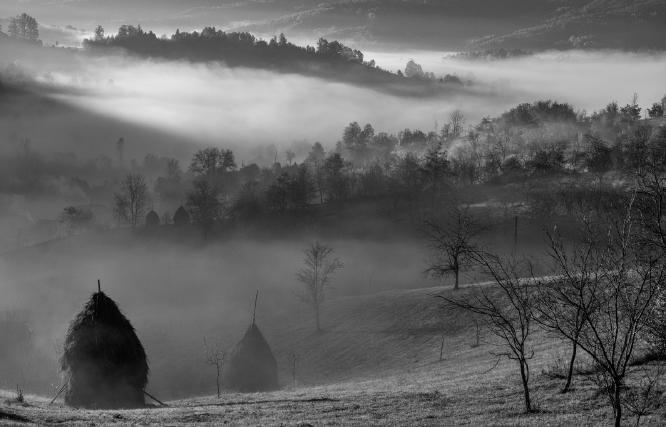 Haystacks in the Mist - Martin Gould