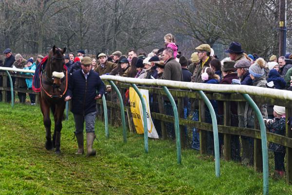 Parade Ring - Steve Robinson
