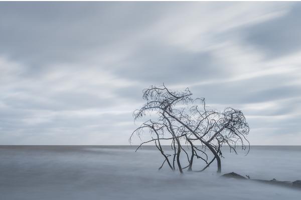 Suffolk's Disappearing Shoreline - Mark Kench
