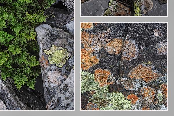 Cwmorthin Slate - Keith Bailey