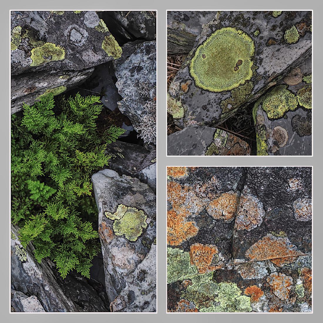 Cwmorthin Slate - Keith Bailey