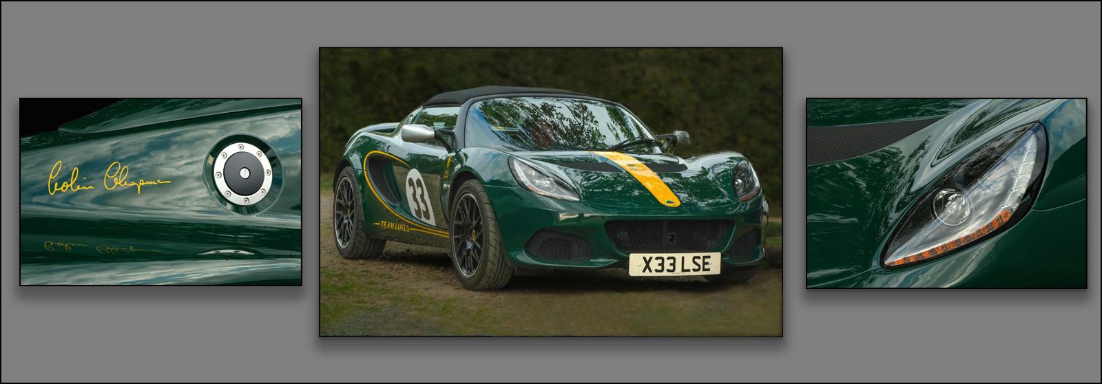 Green Lotus - Hilary Knight