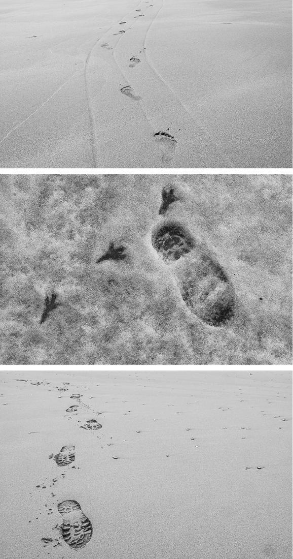 Tracks - Alex Tyler