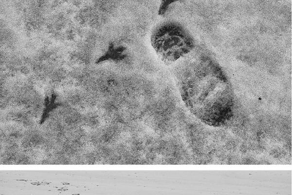 Tracks - Alex Tyler