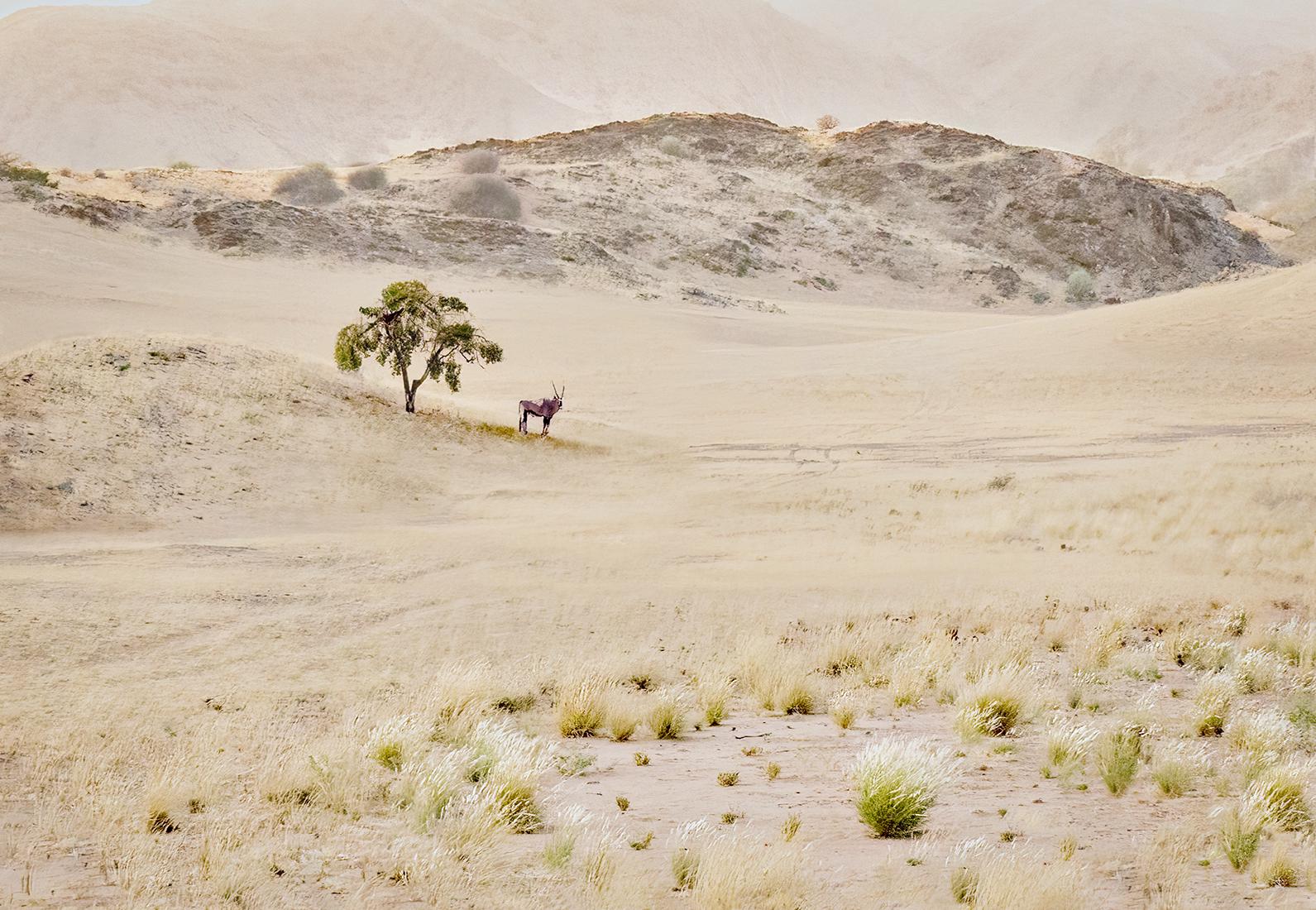 Desert Landscape with Oryx - Kate Jackson