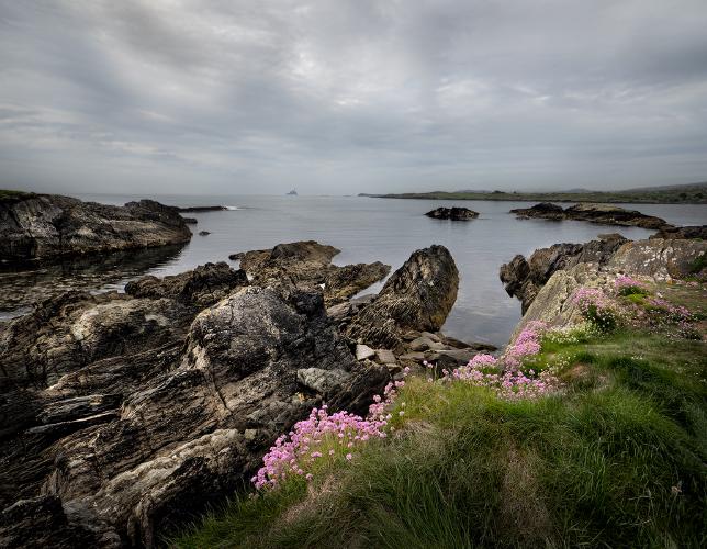 Distant Fastnet Rock from Altar - Chris Aldred
