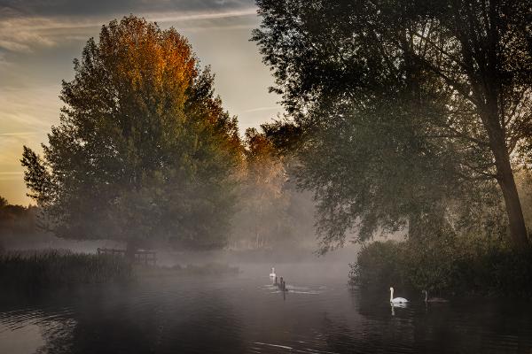 Misty river - Shaun Hykel