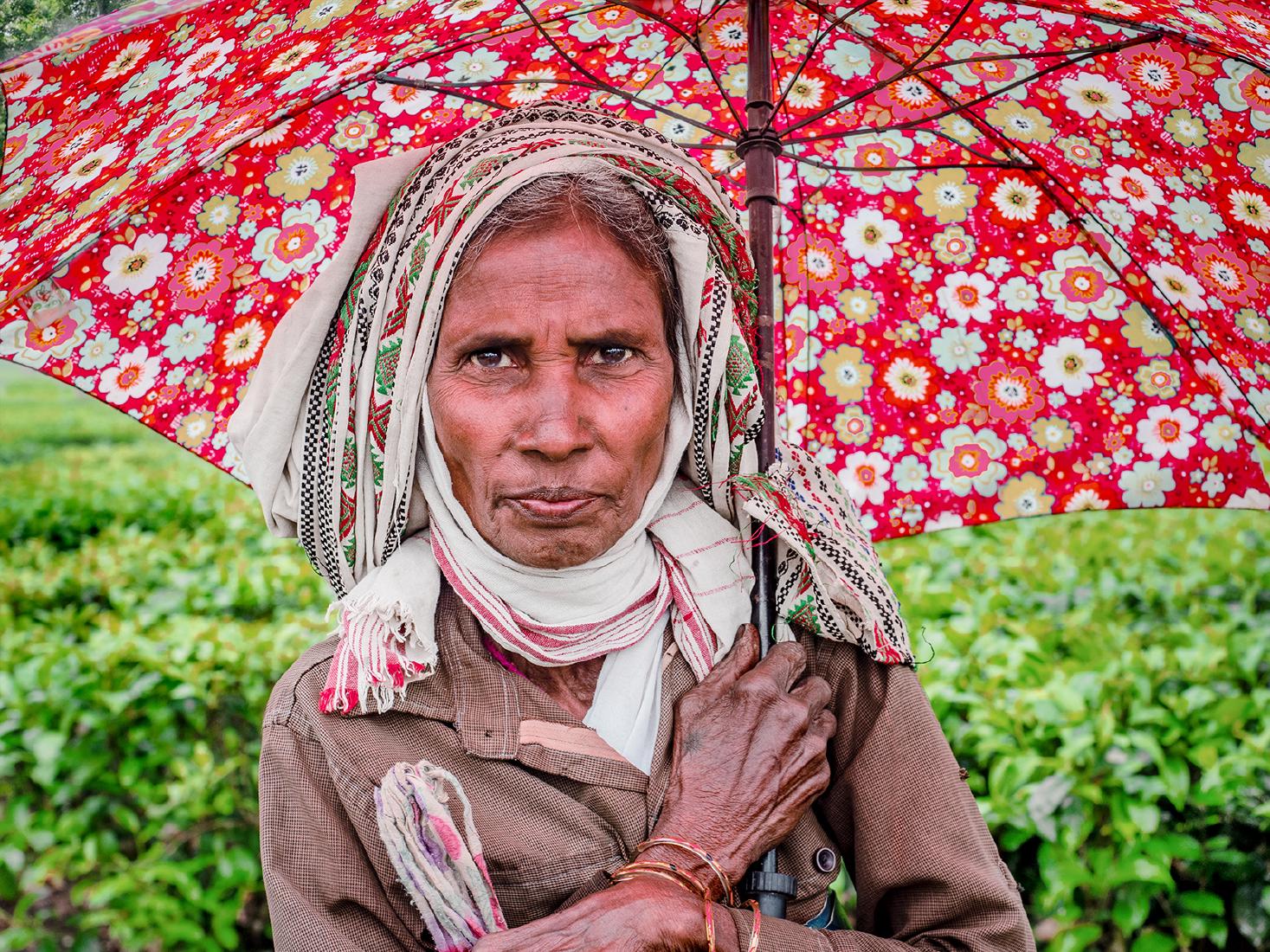 Tea Picker on a Break - Kate Jackson