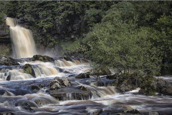 Thornton Force - Steve Ball