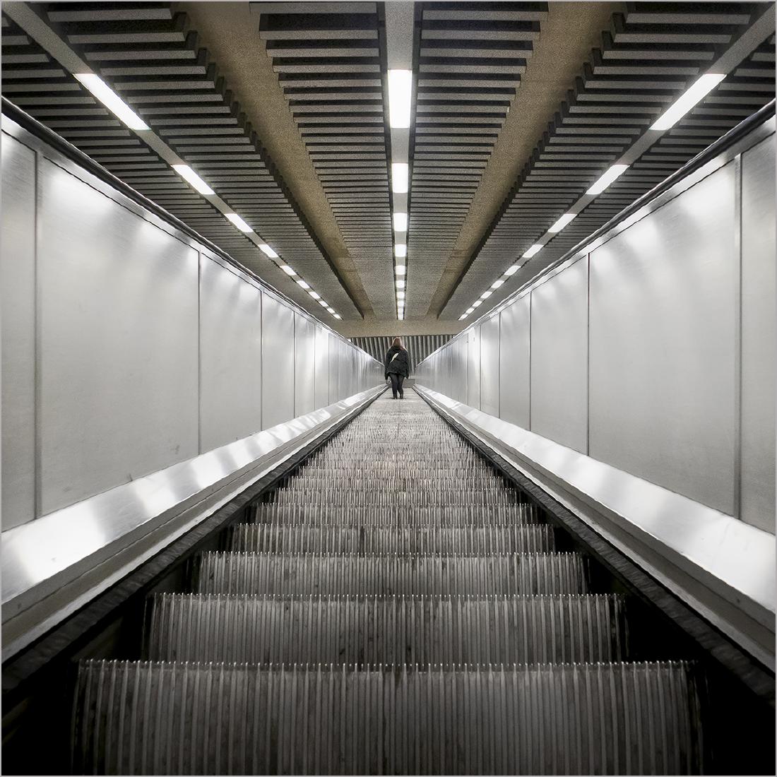 Escalator - Steve Ball