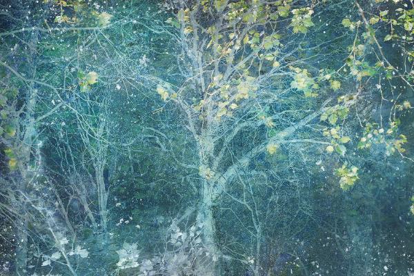 Flurries - Chrissie Alexander