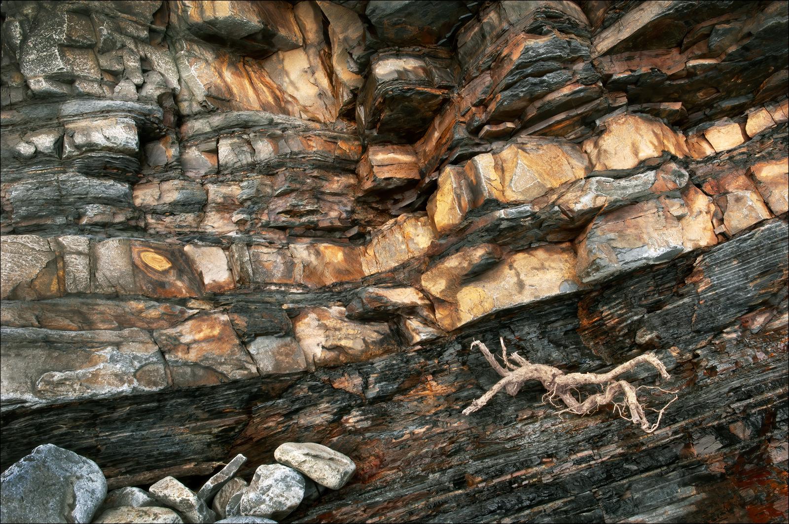 Intimate Landscape - Melvyn Frewin