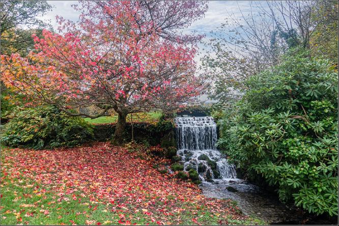 Little Bredy Waterfall in Autumn - Alison Pangbourne
