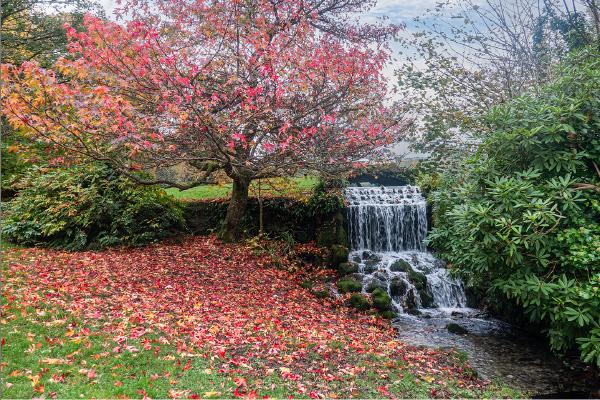 Little Bredy Waterfall in Autumn - Alison Pangbourne
