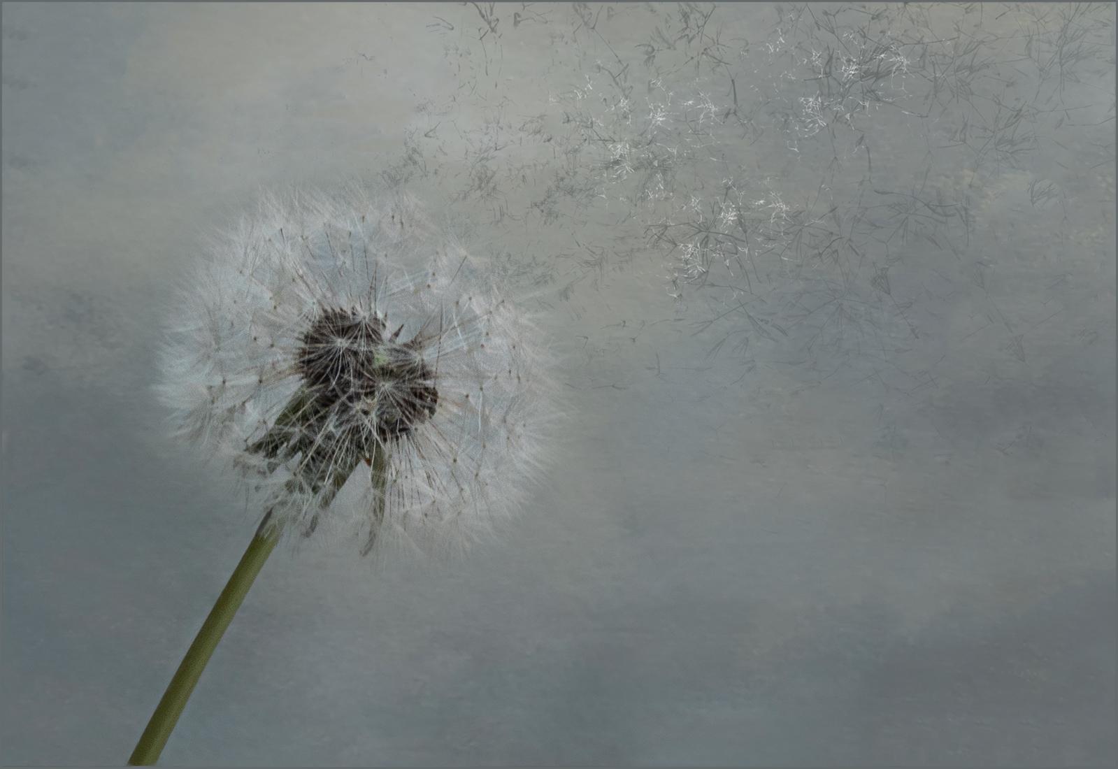 Make a Wish - Nesta James