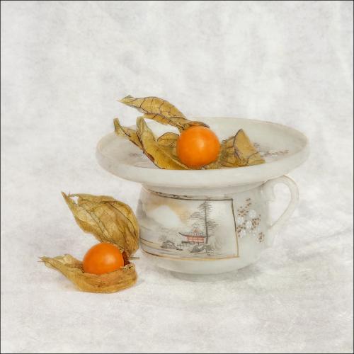 Oriental Fruits - Pat Frewin