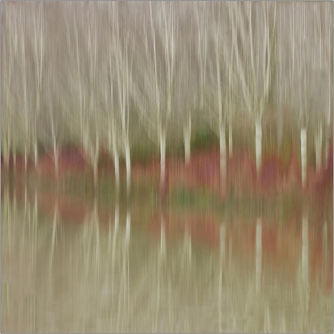 Icy Reflections - Hilary Knight