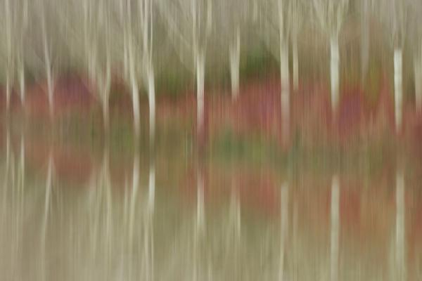 Icy Reflections - Hilary Knight