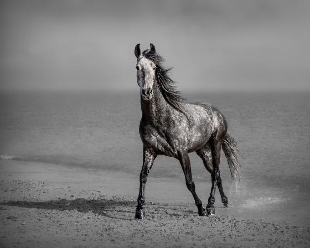 Grey Day - Chris Pugh