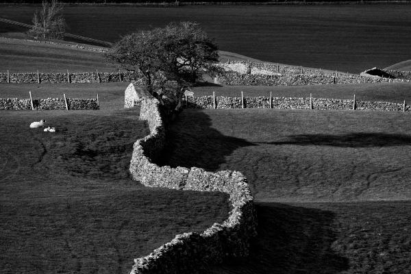 Reeth, Yorkshire - Elisa Harvey