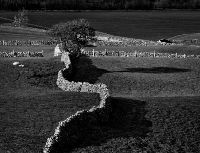Reeth, Yorkshire - Elisa Harvey